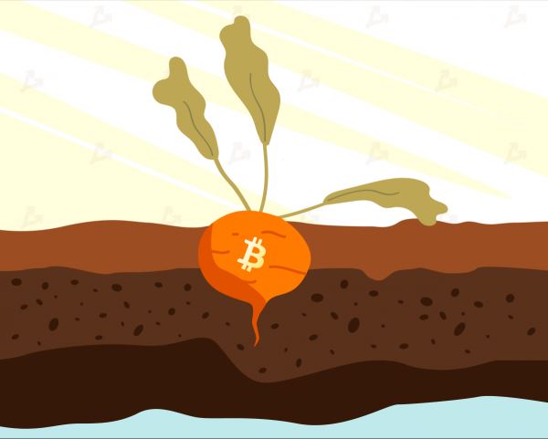 В сети биткоина активировано долгожданное обновление Taproot